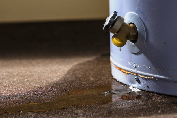 Best Mold removal after water damage  in Lodi, OH