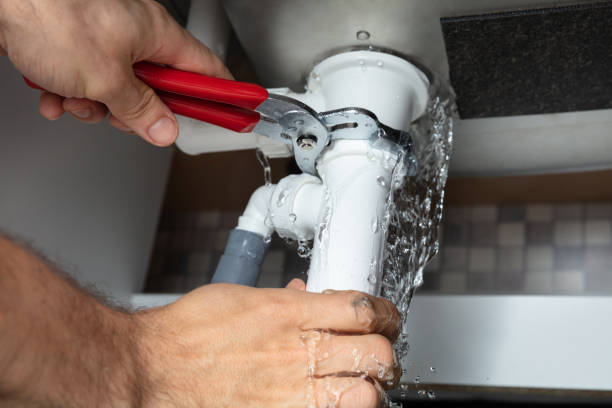Best Water damage restoration mold remediation  in Lodi, OH