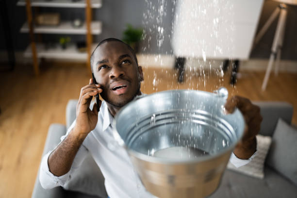 Best Water damage restoration near me  in Lodi, OH