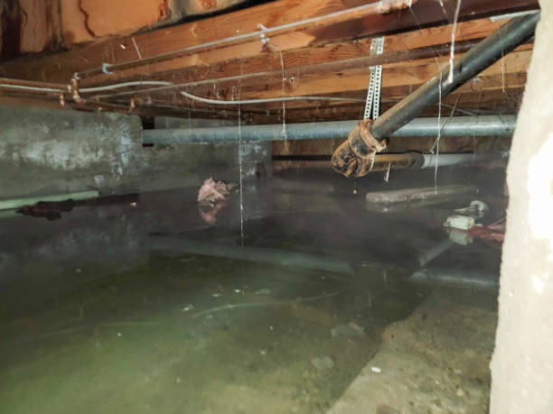 Best Sewage cleanup and water damage restoration  in Lodi, OH