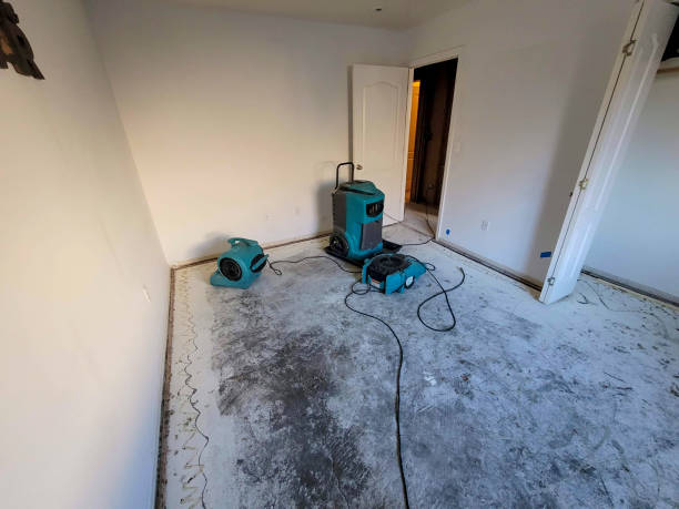 Best Water damage restoration cost  in Lodi, OH