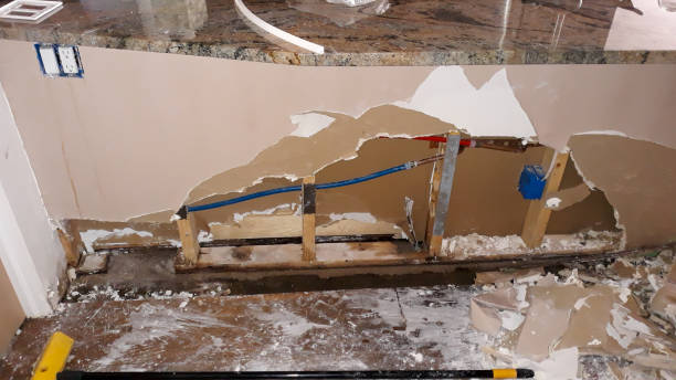 Best Flooded house restoration  in Lodi, OH
