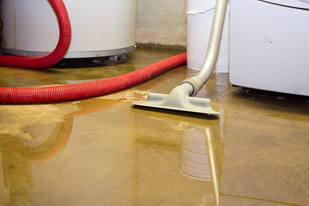 Best Residential water damage restoration  in Lodi, OH