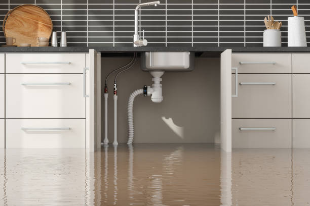 Best 24/7 water damage repair  in Lodi, OH