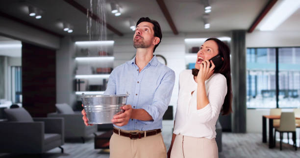 Best Professional water damage repair  in Lodi, OH