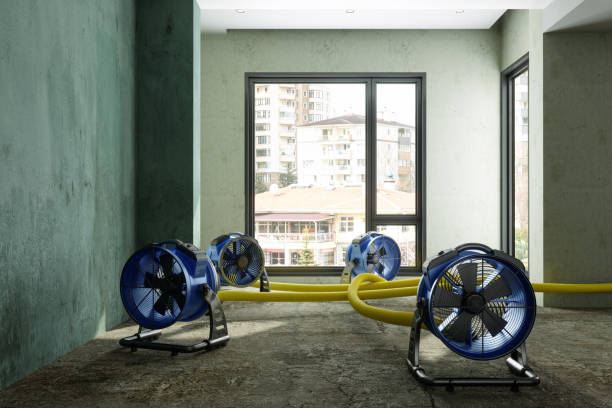Best Water damage mitigation services  in Lodi, OH