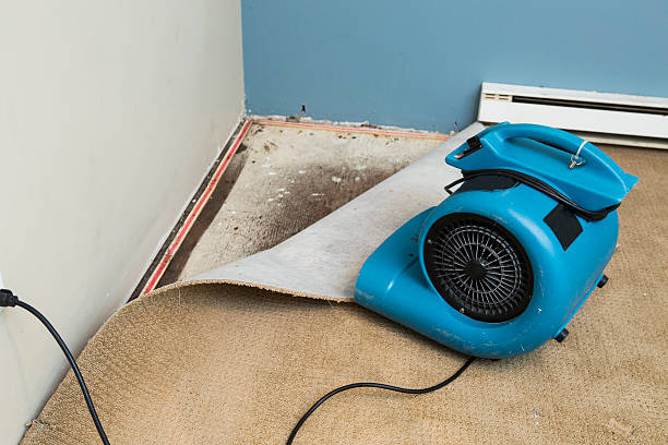 Best Residential water damage restoration  in Lodi, OH